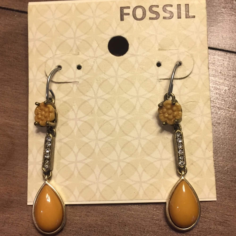 Fossil Natural Mystic Earrings
